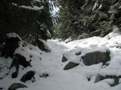 1985 Ford Bronco - Normally you can go to the right, but the snow kept us to the left. This part was fun.
