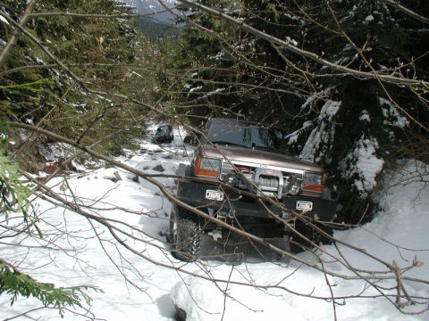 1985 Ford Bronco - A brown Ford Bronco is navigating a snowy, wooded trail with a winch mounted on the front bumper. Another blue vehicle is visible further u…