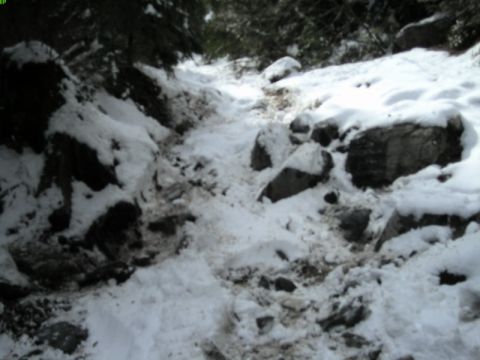 1985 Ford Bronco - A snowy path winds through a forest with rocks and trees visible.