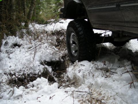 1985 Ford Bronco - After turning around, Indir heard a loud bang.