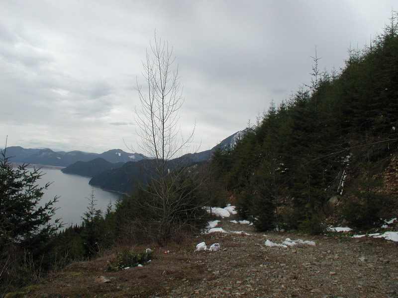 The Stave Lake "scenic" shot.