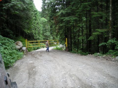 1985 Ford Bronco - A person walks past a yellow gate on a gravel road surrounded by dense forest.