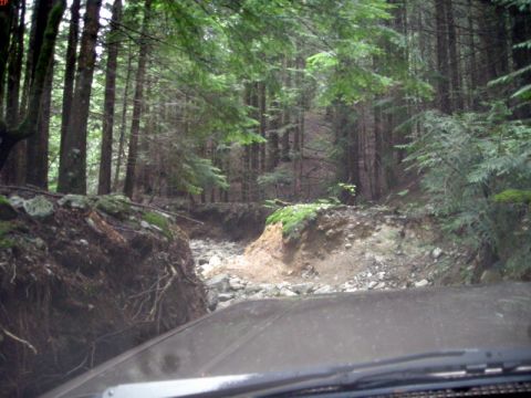 1985 Ford Bronco - The hood and windshield of a dark-colored vehicle are visible in the foreground, looking out onto a rocky, rutted path through a dense fore…