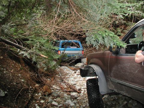 1985 Ford Bronco - Two off-road vehicles navigate a narrow, rocky trail through a dense forest with fallen branches overhead. The foreground vehicle is a brow…