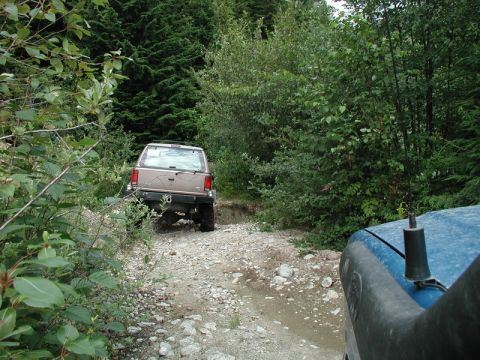 1985 Ford Bronco - A tan Ford Bronco is driving on a rocky, wooded trail. The front of a blue vehicle is visible in the foreground.