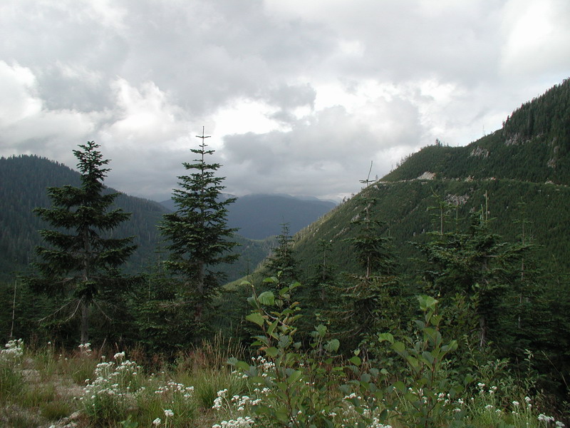 The top of Margret Creek Pass.