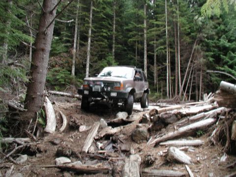 1985 Ford Bronco - A lifted, dark-colored SUV navigates a challenging off-road trail through a dense forest, with fallen logs and rocks obstructing the path.
