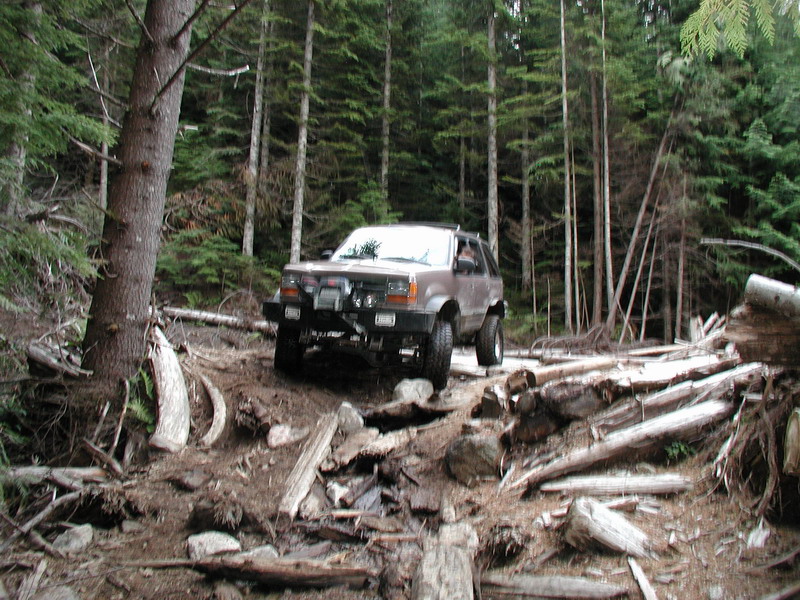 Lifted SUV driving on a rough forest trail with fallen logs.