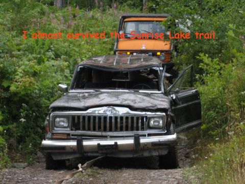 1985 Ford Bronco - A heavily damaged dark-colored Jeep SUV is partially obscured by foliage, with an orange truck visible behind it. Text overlay reads "I alm…