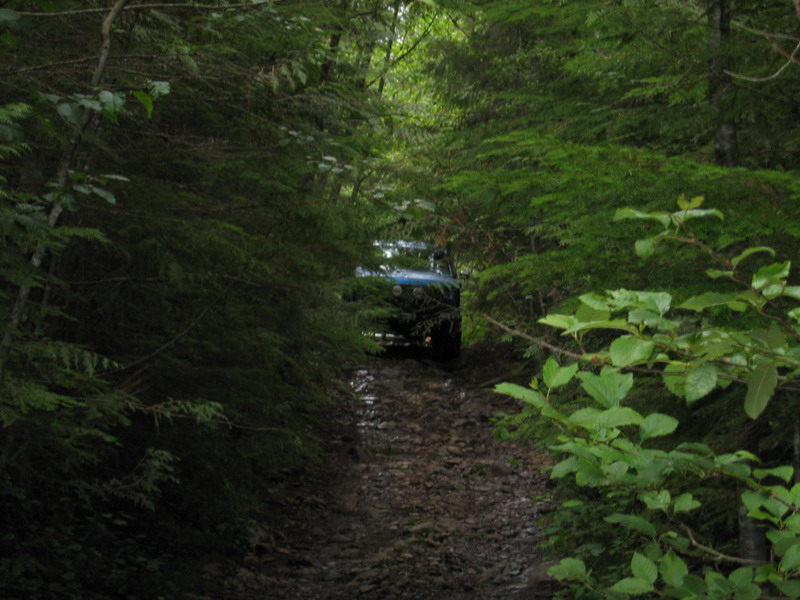 Coming down the trail in tow.