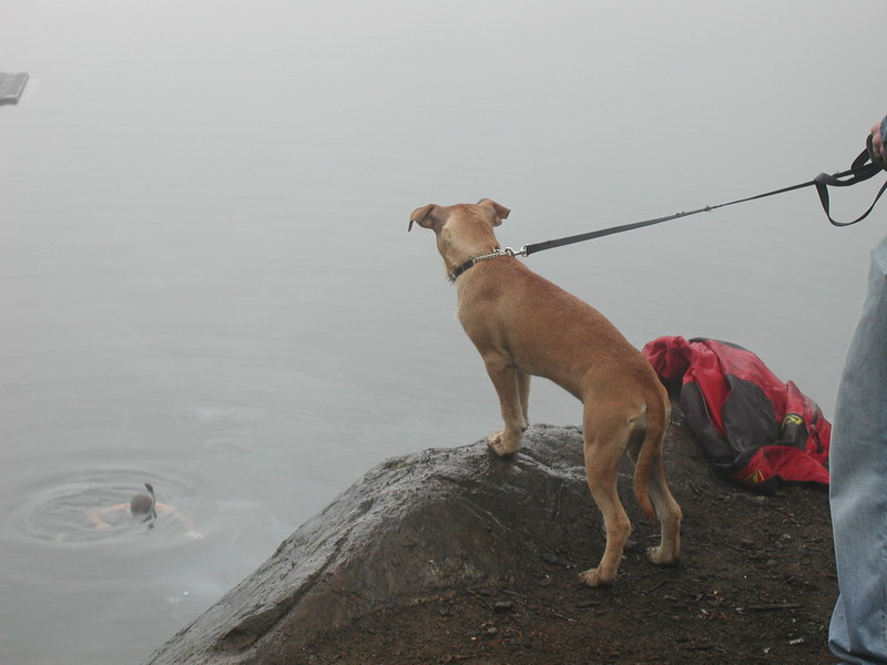 Even the dog was waiting with anticipation.