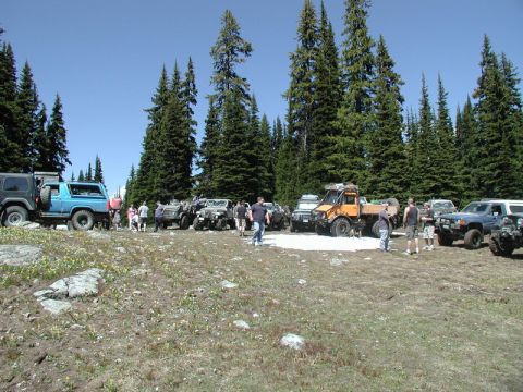 1985 Ford Bronco - A group of off-road vehicles are parked in a clearing surrounded by pine trees. The vehicles include a blue Ford Bronco, several Jeeps, and…