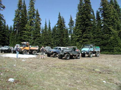 1985 Ford Bronco - Several off-road vehicles are parked in a clearing surrounded by tall evergreen trees under a clear blue sky. An orange Unimog truck is pro…