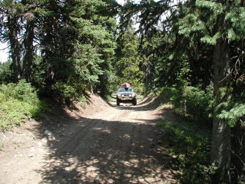1985 Ford Bronco - A light-colored SUV is driving down a dirt road surrounded by dense pine forest. The vehicle has a red kayak or canoe strapped to its roof.