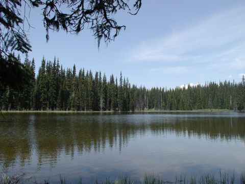 1985 Ford Bronco - A calm lake is surrounded by a dense forest of evergreen trees under a partly cloudy sky. The foreground shows the edge of the water with s…