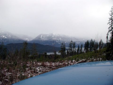 1985 Ford Bronco - The front hood of a blue vehicle is visible in the foreground, with a misty mountain landscape and a forest in the background.