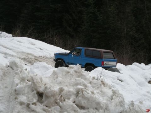 1985 Ford Bronco - A blue first-generation Ford Bronco with a brown top is driving through a snowy, wooded area. The vehicle is angled to the right, navigatin…