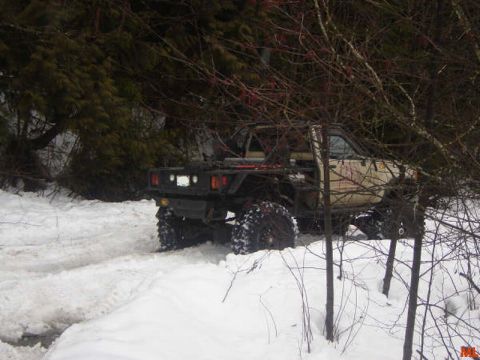 1985 Ford Bronco - A modified pickup truck with large tires drives through a snowy, wooded area. The truck has a flatbed and a roll cage visible.