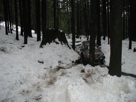 1985 Ford Bronco - A brown SUV navigates a snowy, wooded trail with deep tire tracks in the snow. A large tree stump is visible in the foreground.