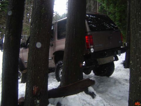 1985 Ford Bronco - A brown SUV is parked in a snowy wooded area, partially obscured by trees. The rear of the vehicle is visible, showing a spare tire mounted…