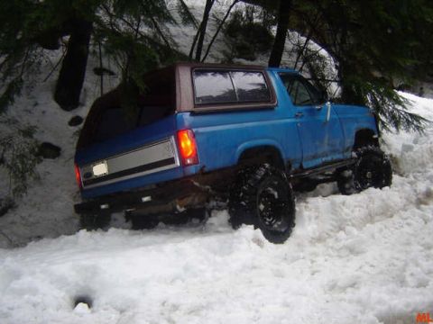 1985 Ford Bronco - A blue Ford Bronco with large off-road tires is stuck in deep snow on a wooded slope. The rear of the vehicle is visible, showing its taill…