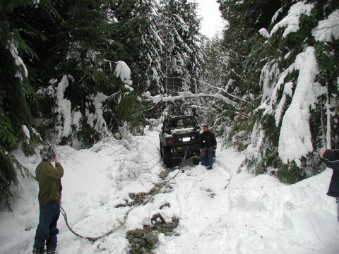 1985 Ford Bronco - Wil coming to my aid.