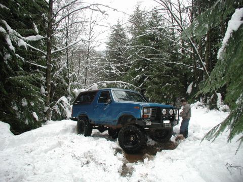 1985 Ford Bronco - It doesn't look bad, but I couldn't move.
