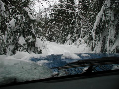 1985 Ford Bronco - The hood and windshield wipers of a blue vehicle are visible in the foreground, covered in snow. The vehicle is driving through a snow-cove…