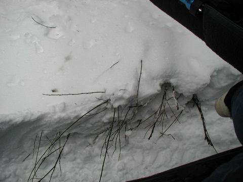 1985 Ford Bronco - A little deep.
