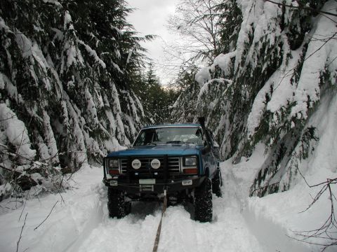 1985 Ford Bronco - A blue Ford Bronco is driving through a snow-covered forest road, with large snow-laden evergreen trees lining the path. The vehicle has la…