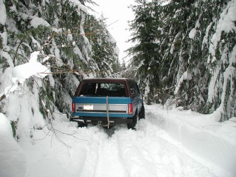 1985 Ford Bronco - A blue Ford Bronco is stuck in deep snow on a wooded trail, with snow-covered trees lining both sides of the path.