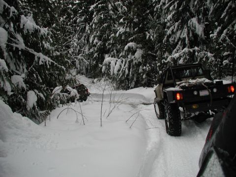 1985 Ford Bronco - Indir managed to turn himself around.