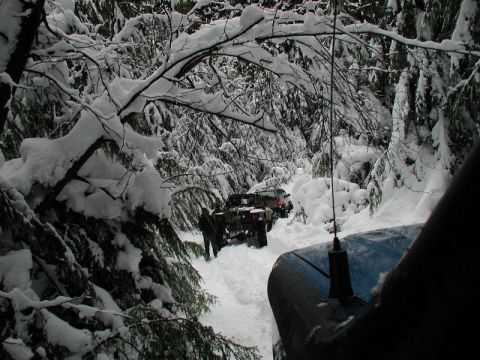1985 Ford Bronco - A line of off-road vehicles navigates a snow-covered forest road. The foreground shows the hood and antenna of a blue vehicle, looking back…