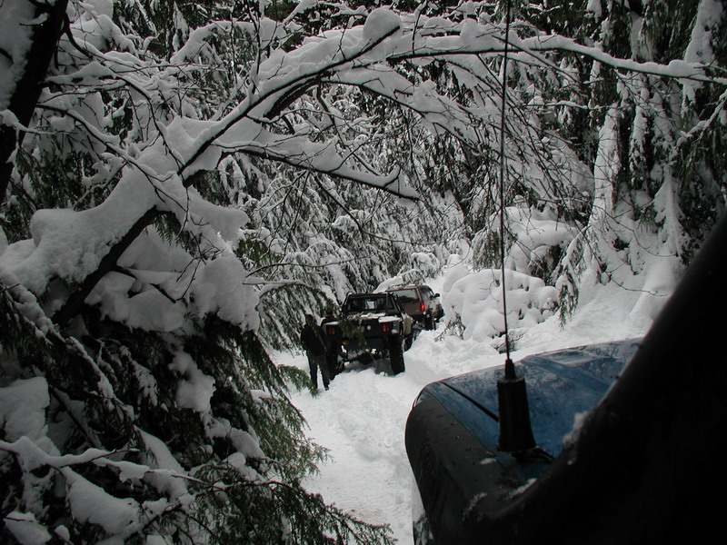 Off-road vehicles driving through a snow-covered forest.