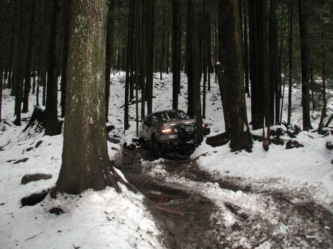 1985 Ford Bronco - A dark-colored SUV navigates a muddy and snow-covered trail through a dense forest. The vehicle is angled towards the right, with its front…