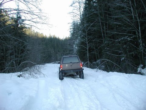 1985 Ford Bronco - A tan SUV drives down a snow-covered dirt road surrounded by dense evergreen trees. The vehicle is seen from the rear, with its tires leavi…