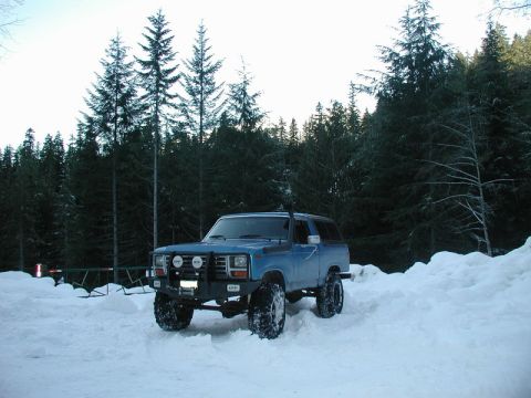 1985 Ford Bronco - A blue Ford Bronco is parked in deep snow in front of a dense forest. A green and red gate is visible to the left of the vehicle.