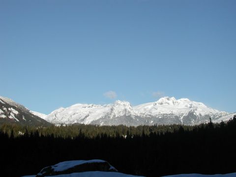 1985 Ford Bronco - A snow-covered mountain range is visible under a clear blue sky, with a dense forest in the foreground.