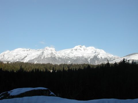 1985 Ford Bronco - A wide shot of snow-covered mountains behind a dark silhouette of pine trees, under a clear blue sky.
