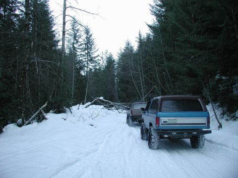 1985 Ford Bronco - We were pushing our luck, and running into this downed tree was a good time to turn around.