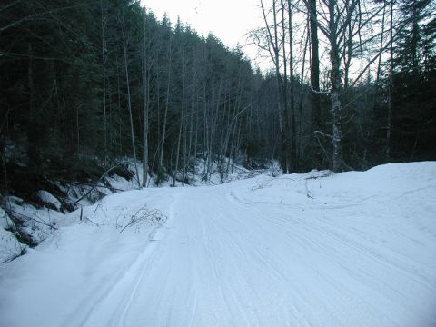1985 Ford Bronco - Looks like a well groomed ski run.