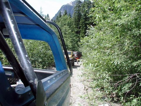 1985 Ford Bronco - Turning around on a dead end trail.