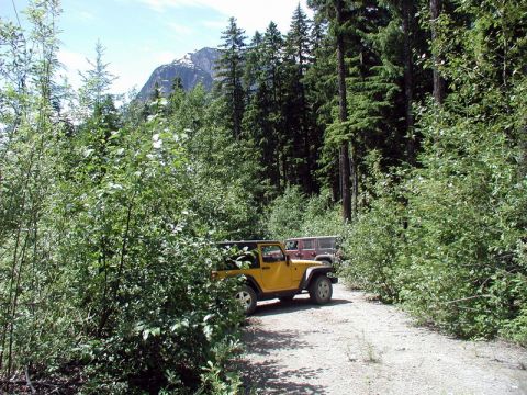 1985 Ford Bronco - Two Jeep Wranglers are parked on a gravel road surrounded by dense forest. A snow-capped mountain peak is visible in the distance behind th…