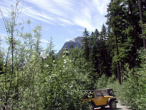 1985 Ford Bronco - A yellow Jeep Wrangler is parked on a dirt road surrounded by lush green trees, with a snow-capped mountain visible in the distance under a…
