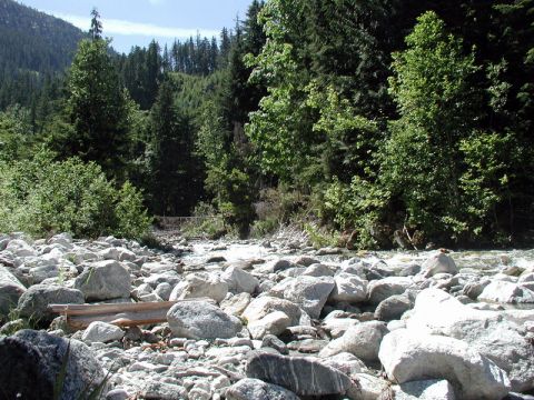 Rocky riverbed with trees and a mountain slope in the background.