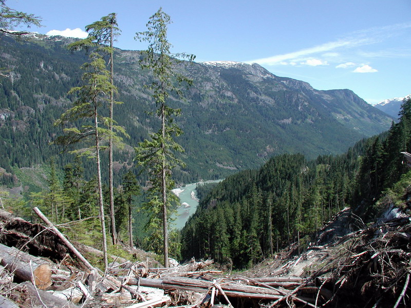 Mountain valley with river and fallen trees in foreground