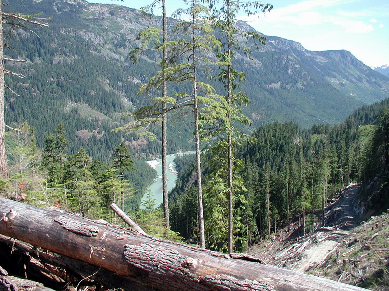 Mountainous forested landscape with a river and fallen log.