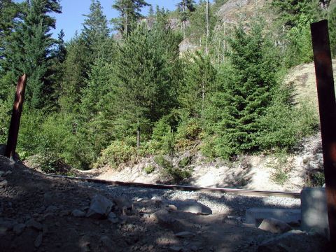 Railroad tracks in a forest with a rocky hillside.