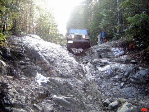 Jeep Wrangler climbing a steep rocky trail in a forest.