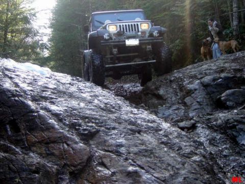 Jeep Wrangler climbing a rocky trail with two dogs and a person watching.